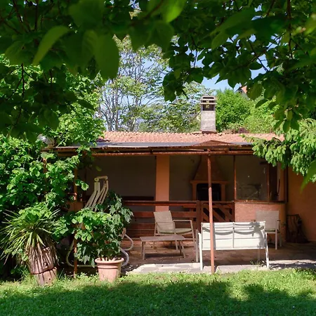 Del Sole - Garden *