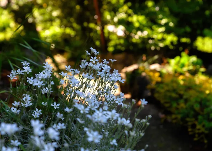 Del Sole - Garden Villa Cernobbio